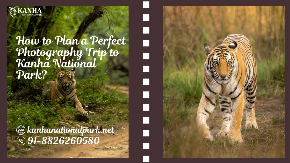 Kanha National Park